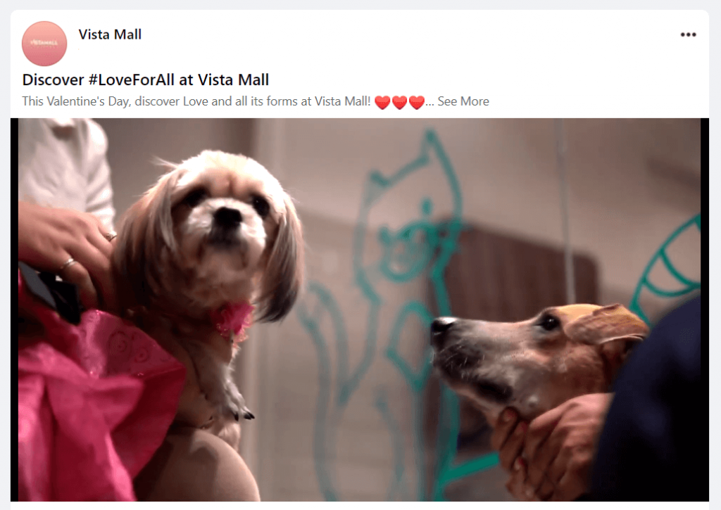 Vista-Mall-LoveForAll-2